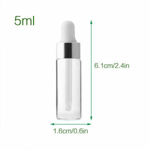 China Silver Mini 5ml Essential Oil Bottles OEM ODM Glass Dropper Bottles wholesale