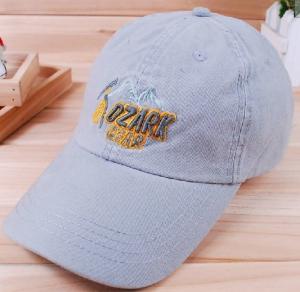 China custom promotional baseball sports caps&amp;golf hats 3D embroidery wholesale