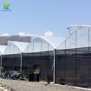 China UV Resistant PE Film Commercial Poly Tunnel Greenhouse For Tropical Climate wholesale