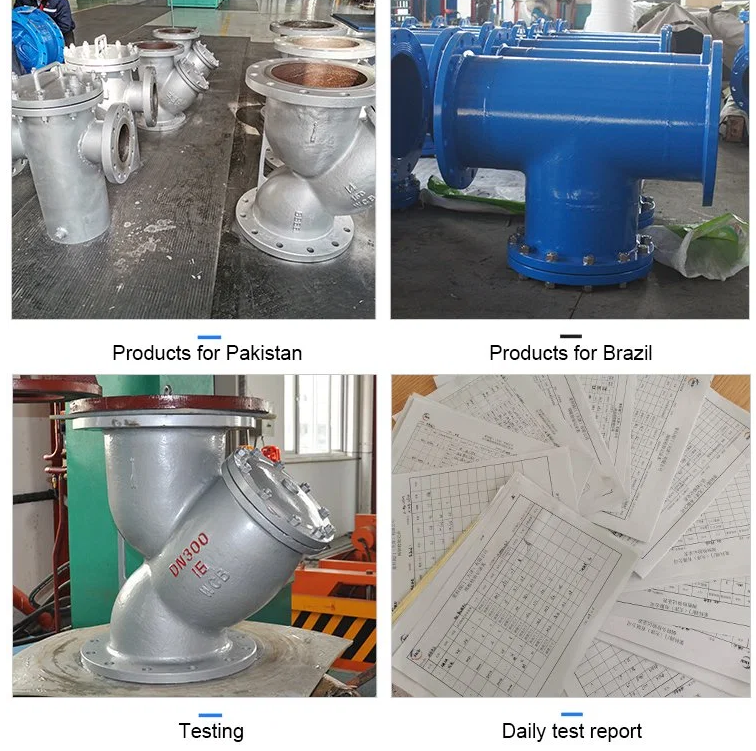 T Type Design Carbon Steel Strainer Customized for Water Filtration Needs and Requirements
