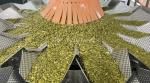 Fully Automatic Shelled Pumpkin Seed Weighing Packing Machine Plastic Bag