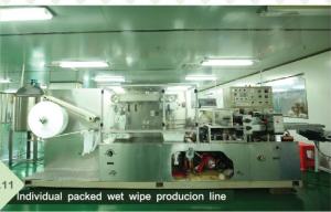China 37 Years Individual Packed Wet Wipes Supplier One Stop Service wholesale