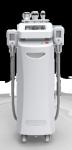 suppliers of cryolipolysis slimming machine cryolipolysis weight reduction