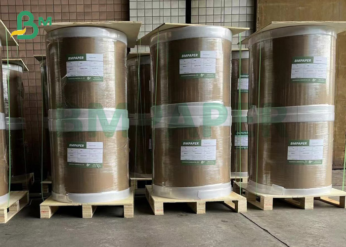48gsm 55gsm Register Thermal Receipt Paper Rolls For POS/ ATM Printing 