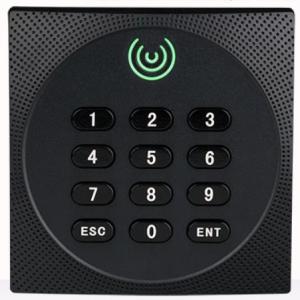 China 125Khz / 13.56Mhz Access Control RFID Card Reader Standalone Pin Card on sale