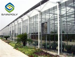 China 5mm Tempered Glass Hydroponic Grow Systems Greenhouse wholesale