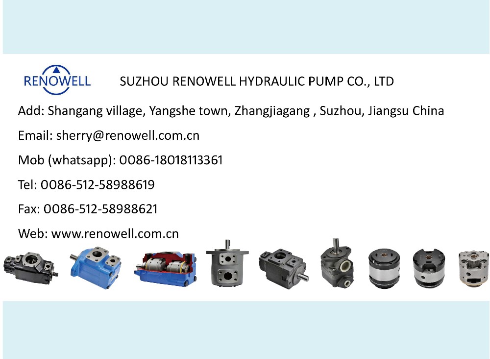 Denison T6C T6D T6E Rotary Vane Vacuum Pump for Marine Machine