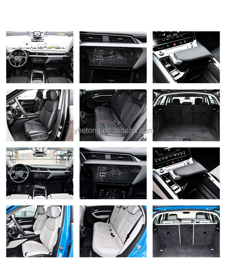 Energy Vehicle Audi E-Tron Maximum Power 230kW Vehicle Weight 2625kg from Chinese