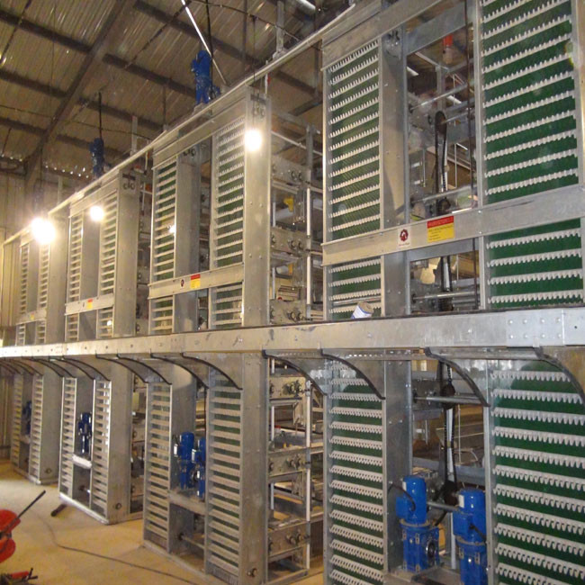 H Type Full Automatic Egg Layer Chicken Cage Hot Dip Galvanized Material