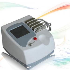 China Newest lipo laser slimming machine cooling lipo fat cells on sale