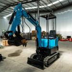 Bucket Arm Cylinder Excavator SGS Hydraulic Mini Digger Machine