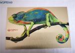 Custom Thickness Sublimation Printing On Aluminum , Sublimation Aluminum Sheet