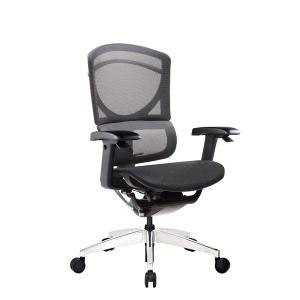 China Polished Mesh Ergo Office Chair With Adjustable Depth Ergonomic wholesale