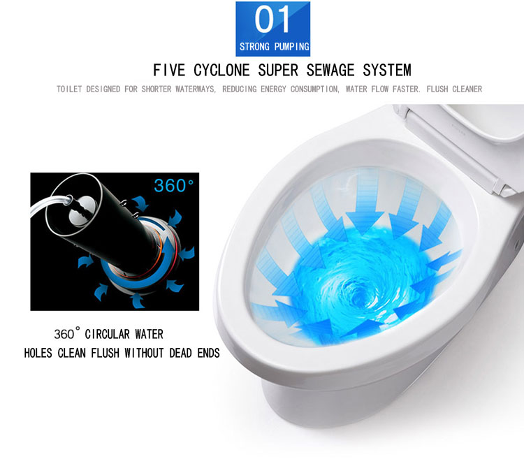 3L 6L Two Piece Wall Mounted Toilet Washdown Flush Wc Portable