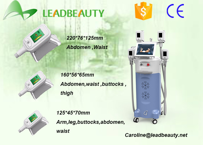 LB-C4 four handpiece work together Newest Designed vertical Fat Freezing cryolipolysis machine