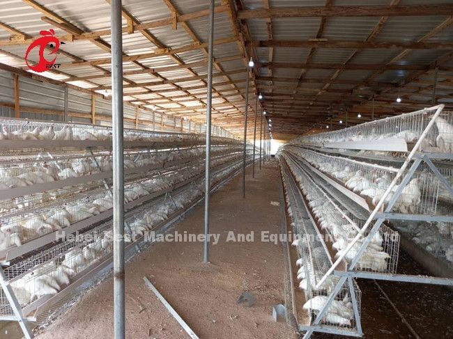 5 Tiers 450cm2 Galvanized Layer Battery Cage System Egg Laying Hens Emily