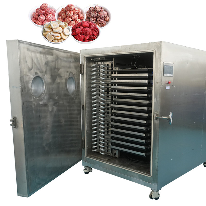 200kg Batch Capacity Electric Heating Dry Freezer Machine
