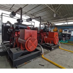 China 200kW Natural Gas Generator Set SP200N 50Hz 60Hz wholesale