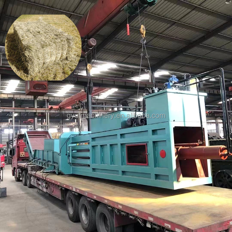 220V/380V Function-packed Hydraulic Press Bagging Machine for Versatile Packing