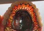 High-Intensity Safety OEM Removable Dental Crown For Dentist Study