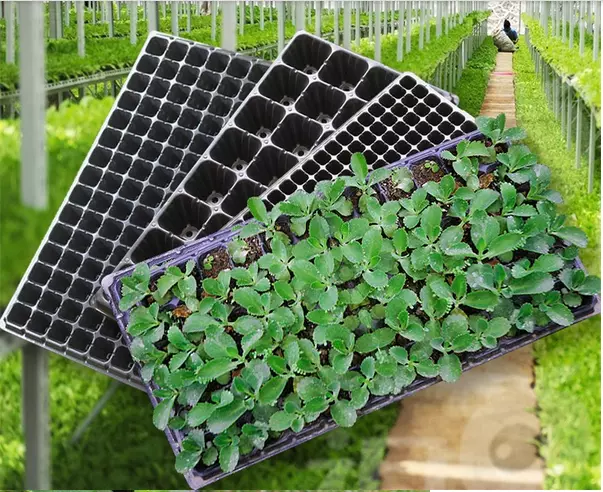 Fold not bad , lightnes , lower price seeding tray