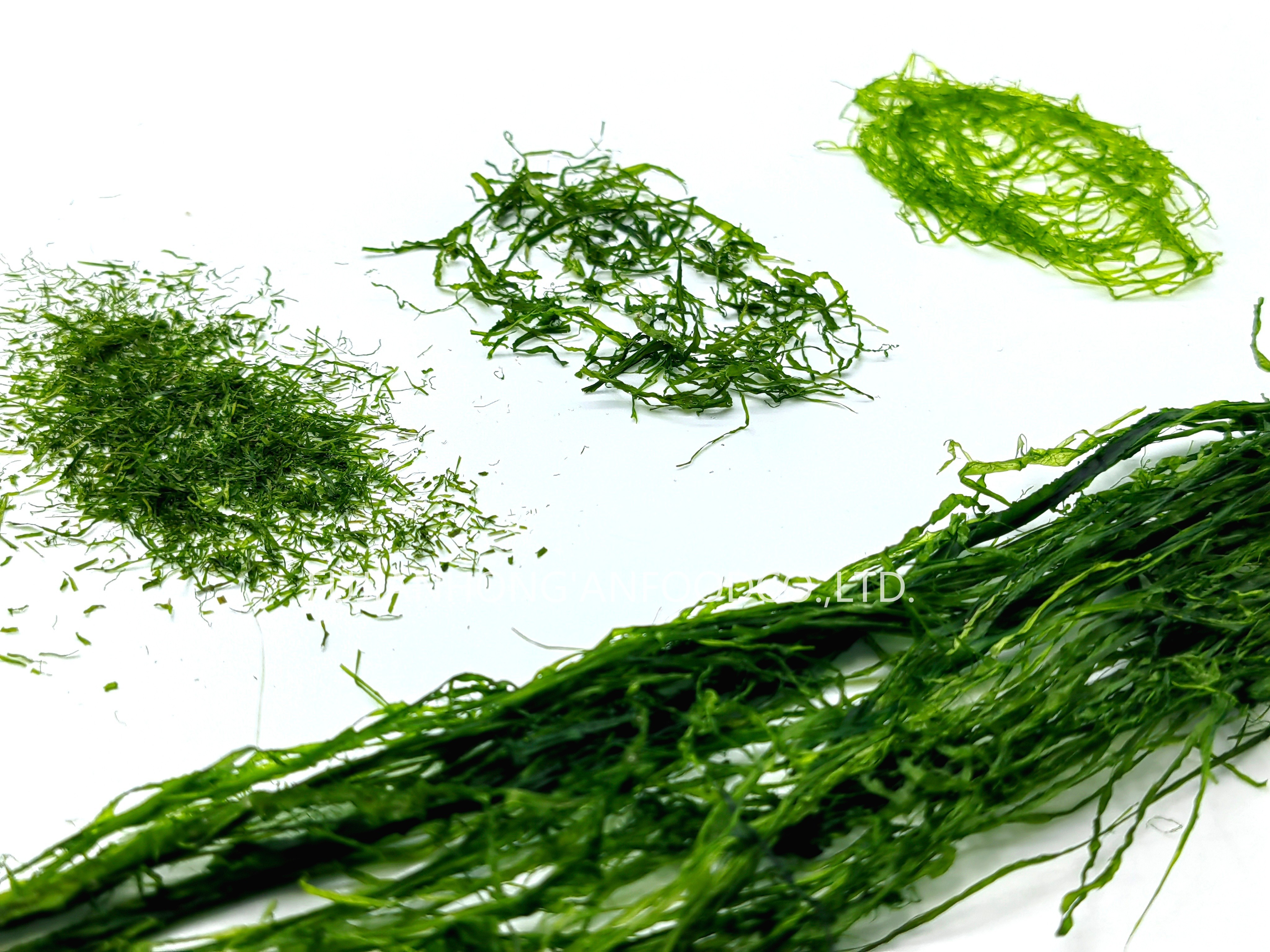 Haccp Crispy Prolifera Seaweed Strips Emerald Green 150g Resealable Bag For Snacks Sushi