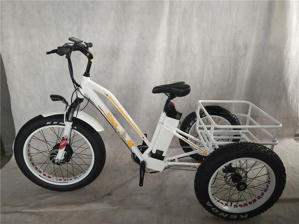 750W 48V 4.0" Fat Tire 3 Wheels E Trike Electric Cargo Bike Alloy Rim 6 Speed USA Hot