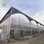 Outdoor Farming Multi-span Agricultural Vegetable Berry Film Poly Tunnel