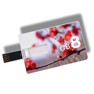 China Kongst OEM custom logo credit card usb , promotional gifts usb card , usb business card 1g wholesale