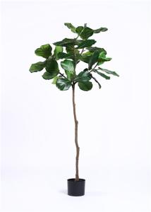 China Evergreen Artificial Ficus Tree Longlife Anti UV For Public Area Decoration wholesale