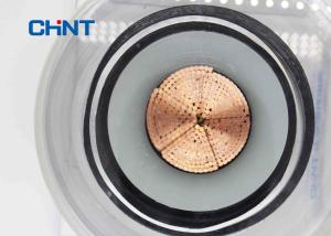 China Compacted Round Conductor XLPE Power Cable Corrugated Aluminum PVC Sheathed wholesale