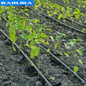 China Agricultural Greenhouse Irrigation System / Greenhouse Boom Irrigation Systems wholesale