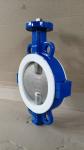 DN100 PTFE Seated Ductile Iron Split Wafer Butterfly Valve