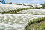 Oem Manufacturing Polyester Industrial Filter Fabric Nonwovens Polyester Non