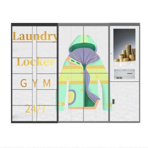 China Winnsen Smart Laundry Cabinet Wash Locker with Control Management System wholesale