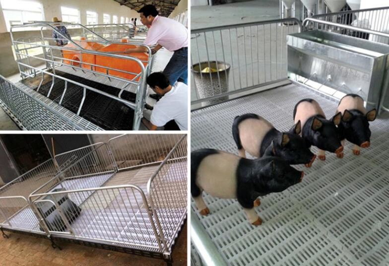 PSF-01 50mm Plastic Slat Floor Poultry Broilers For Piglet