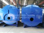Food Industry Oil Fired Steam Boiler 560bhp Diesel Fired Hot Water Boiler