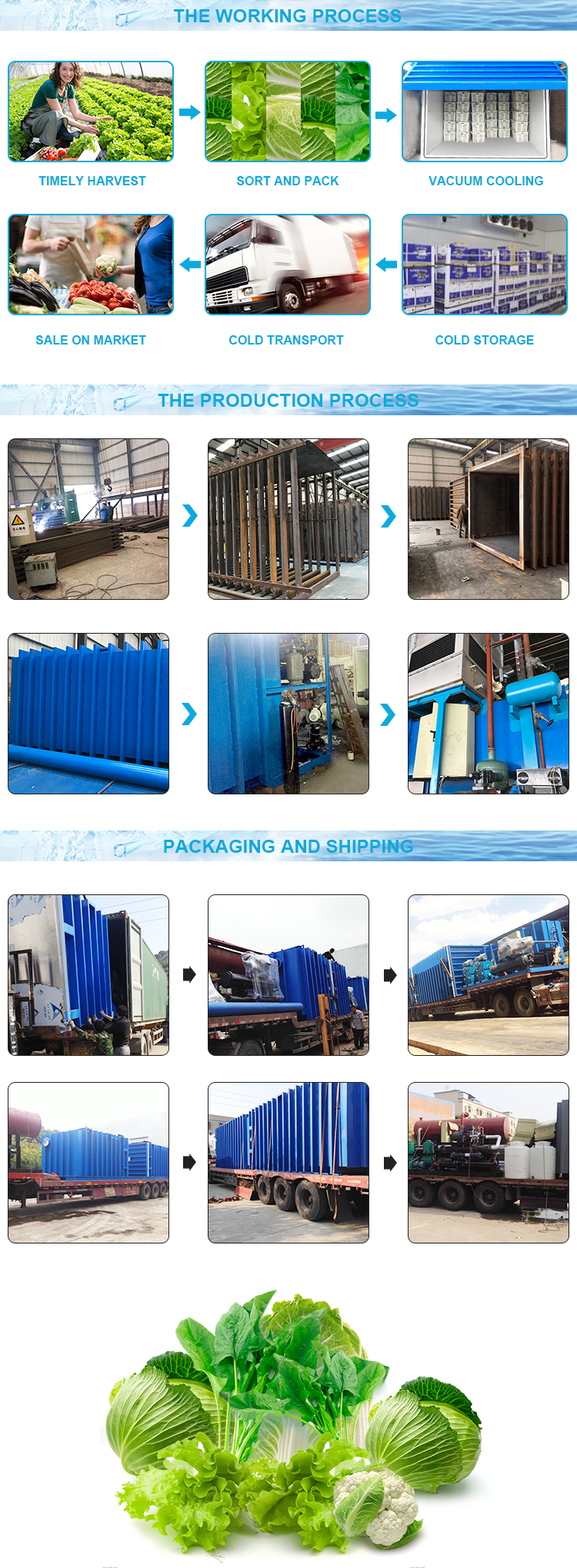 Two Chambers Vacuum Cooling Machine , Vacuum Cooling Of Fruits And Vegetables