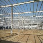 Wide Span Steel Frame Building Construction Prefab Metal Storage Buildings