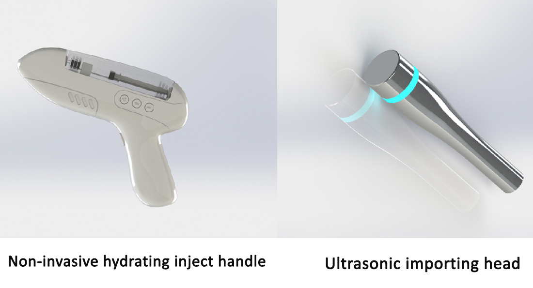 Portable RF Skin Tightening Machine 500W No Needle Mesotherapy Machine Anti Aging