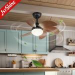 30" Mini Ceiling Fan With Light Wood Blade 6 Speed Choice Hi Speed