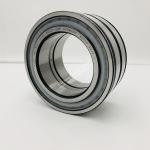 INA Full Complement Cylindrical Roller Bearing SL04100-PP-RR-C3-2NR