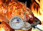 Stainless Steel Bimetal Microwave BBQ Meat Thermometer High Accuracy 3" Dial