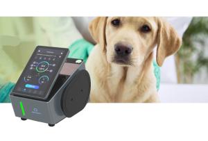 China Handheld Veterinary Laser Therapy Machine 915nm Class 4 Medical Laser wholesale