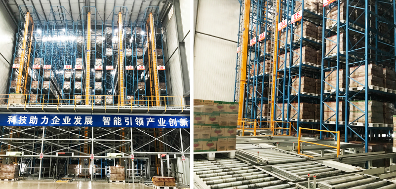 Logistic Inventory Automation System ASRS With Selective Storage Racking