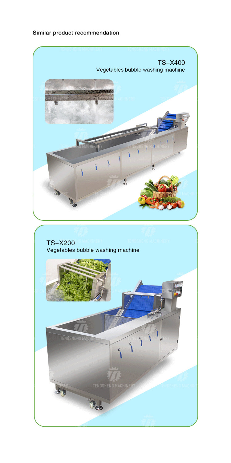 2.6KW Multi-functional fruit and vegetable bubble cleaning machine vegetable food cleaning equipment
