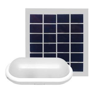 China White Outdoor Solar LED Ceiling Light 6W 10W Long Working Time For Garden wholesale
