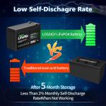 8Ah 12v Lithium Phosphate Battery Caravan Lifepo4 Lithium Ion Battery