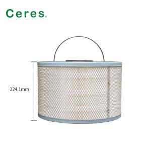 China 25211119A-C Ctp Kodak Air Filter 224.1mm Height wholesale