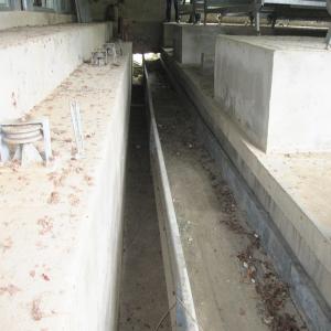 China Automated Livestock Poultry Manure Removal System Hot Dipped Galvanized wholesale